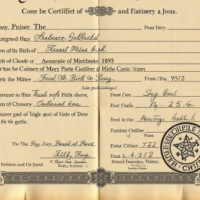 Private Birth Record (Course Extract)
